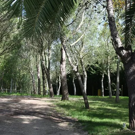 리조트 Y Glamping Sidonia 메디나시도니아