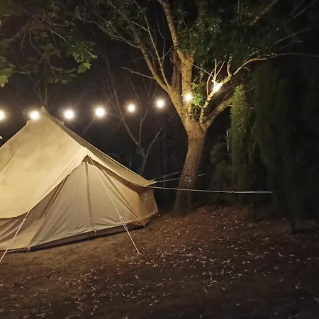 度假村 Y Glamping Sidonia